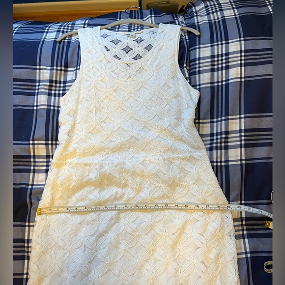 Banana Republic, lace shift dress - Picture 10 of 12